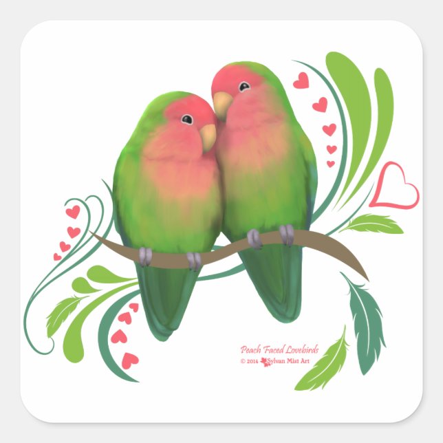 Pegatina Cuadrada Peach Faced Love Birds (Anverso)
