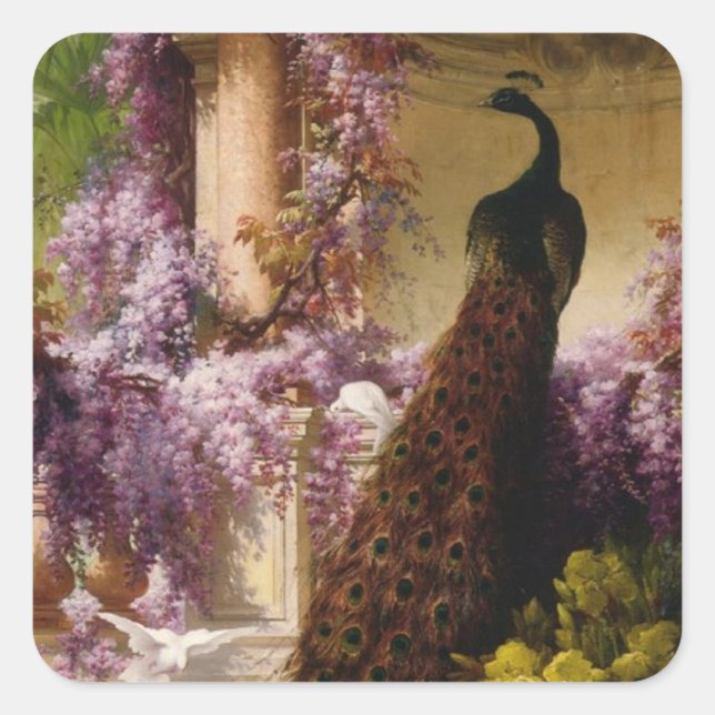 Pegatina Cuadrada Peacock vintage (Anverso)
