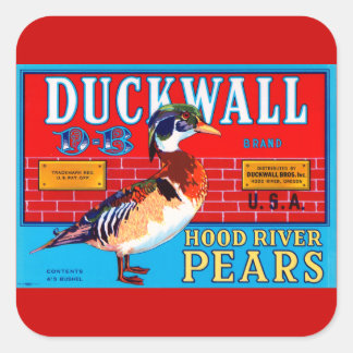 Pegatina Cuadrada Pears Duckwall Hood River