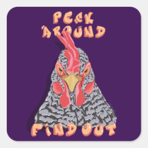 Peck Around Find Out—orden de picoteo de pollo