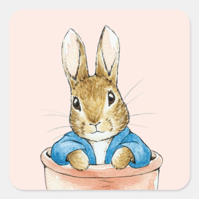 Pegatina Cuadrada Pedro el conejo sentado en una olla (Anverso)