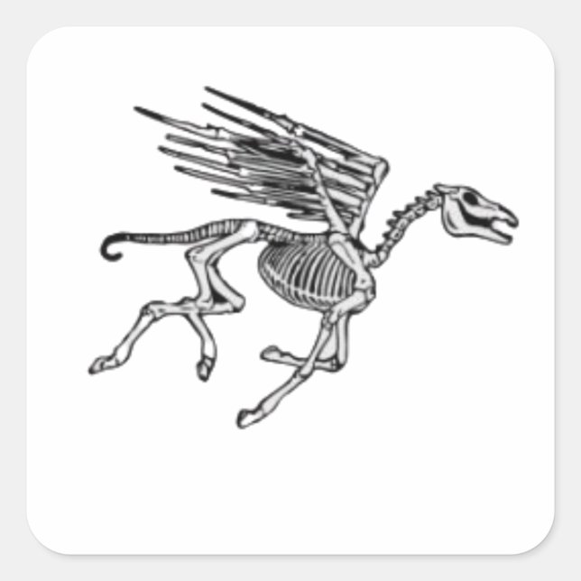 Pegatina Cuadrada Pegasus Skeleton en Women's Plus (Anverso)