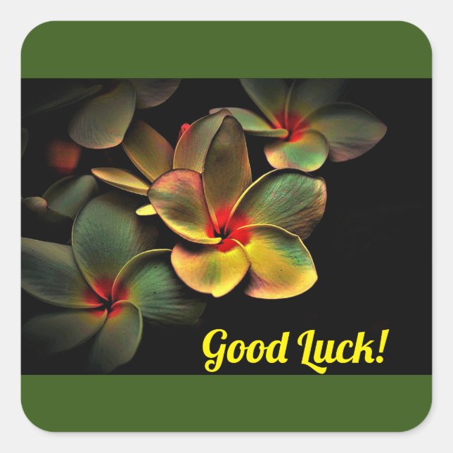 Pegatina Cuadrada ¡pegatina Buena Suerte! (Anverso)