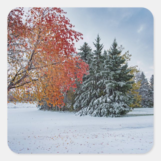 Pegatina Cuadrada Pegatinas (Anverso)