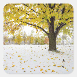 Pegatina Cuadrada Pegatinas