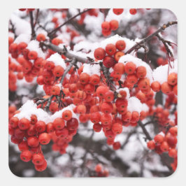 Pegatina Cuadrada Pegatinas