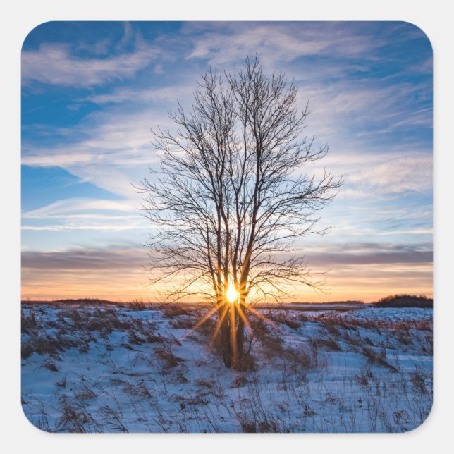 Pegatina Cuadrada Pegatinas (Anverso)