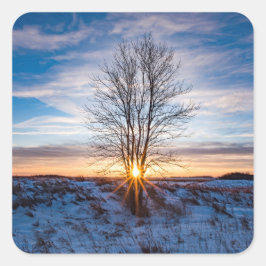 Pegatina Cuadrada Pegatinas