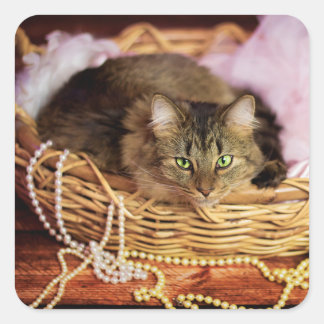 Pegatina Cuadrada pegatinas chicas fiestas