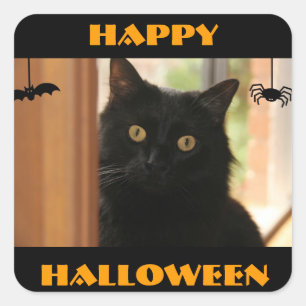 Pegatina Cuadrada Pegatinas de Black Cat Happy Halloween