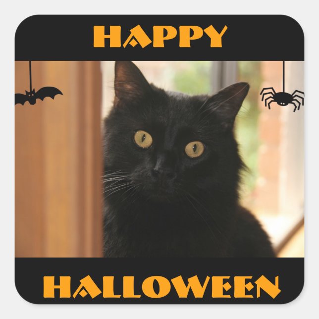 Pegatina Cuadrada Pegatinas de Black Cat Happy Halloween (Anverso)