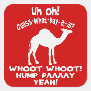 Pegatina Cuadrada Pegatinas de camellos de Hump Day