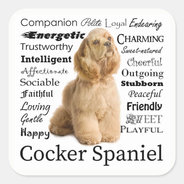 Pegatina Cuadrada Pegatinas de Cocker Spaniel Traits (Anverso)