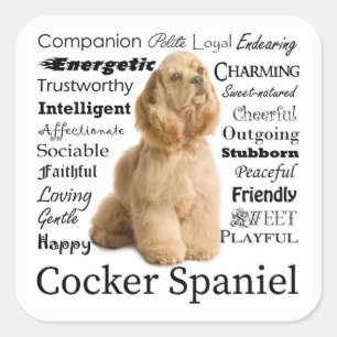 Pegatina Cuadrada Pegatinas de Cocker Spaniel Traits
