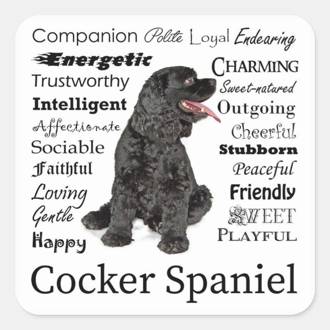 Pegatina Cuadrada Pegatinas de Cocker Spaniel Traits (Anverso)
