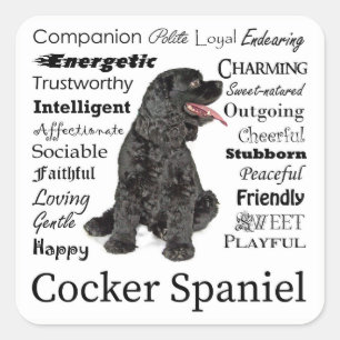 Pegatina Cuadrada Pegatinas de Cocker Spaniel Traits