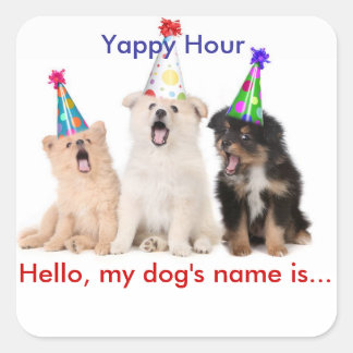 Pegatina Cuadrada Pegatinas de etiquetas de nombre de hora de Yappy