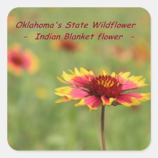 Pegatina Cuadrada Pegatinas de flores del estado de Oklahoma