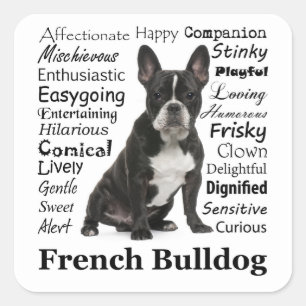 Pegatina Cuadrada Pegatinas de Frenchie Traits