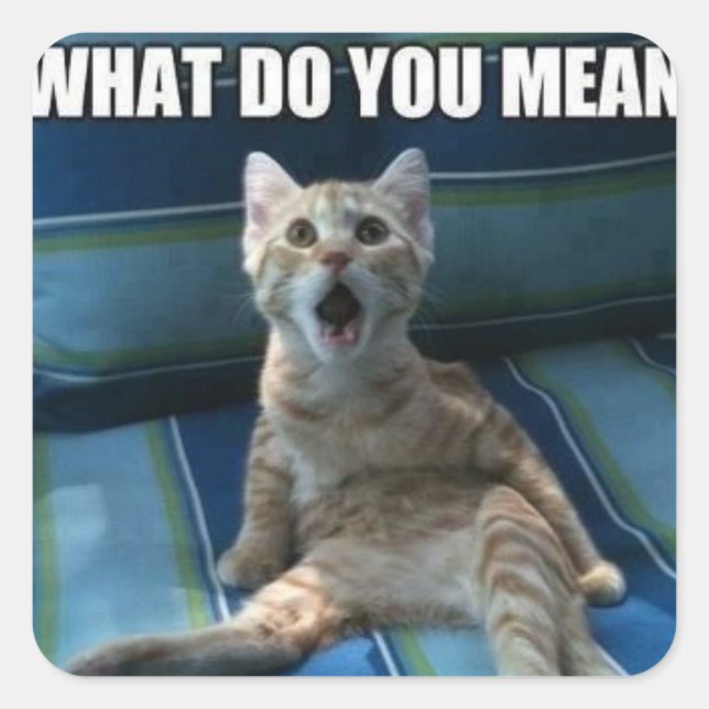 Pegatina Cuadrada Pegatinas de gatos divertidos (Anverso)