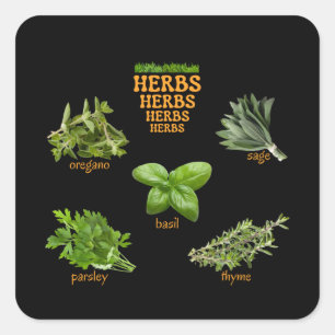 Pegatina Cuadrada Pegatinas de hierbas Oregano Basil Thyme