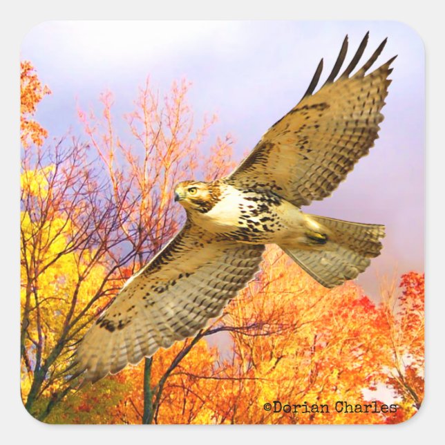 Pegatina Cuadrada pegatinas de "High Flyer" (Anverso)