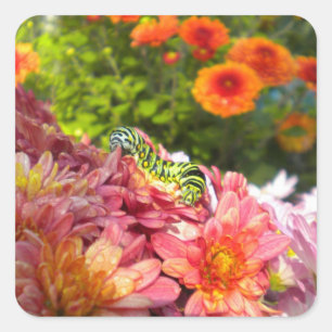 Pegatina Cuadrada Pegatinas de la columna vertebral