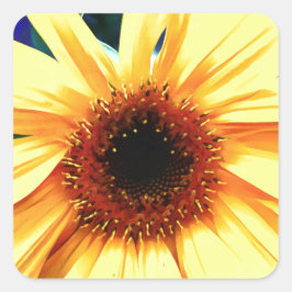 Pegatina Cuadrada Pegatinas de la plaza del girasol