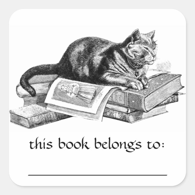 Pegatina Cuadrada Pegatinas De Libros Que Mentiran Gatos En Libros (Anverso)