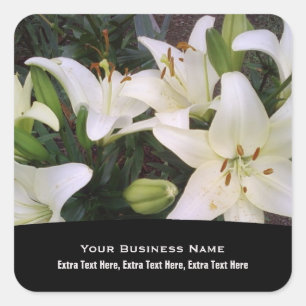 Pegatina Cuadrada Pegatinas de Lirio Blanco