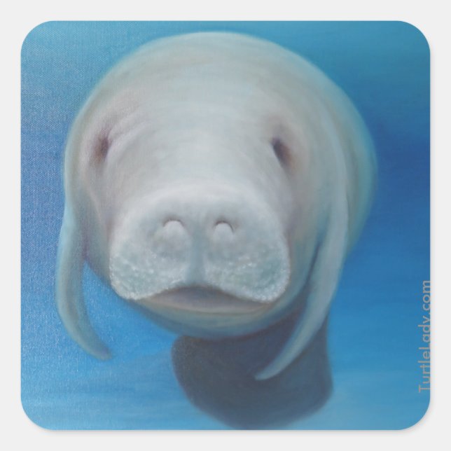 Pegatina Cuadrada Pegatinas de Manatee (Anverso)