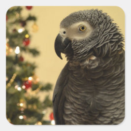 Pegatina Cuadrada Pegatinas de Navidad de loros
