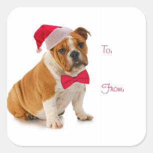 Pegatina Cuadrada Pegatinas de regalo de Bulldog Santa