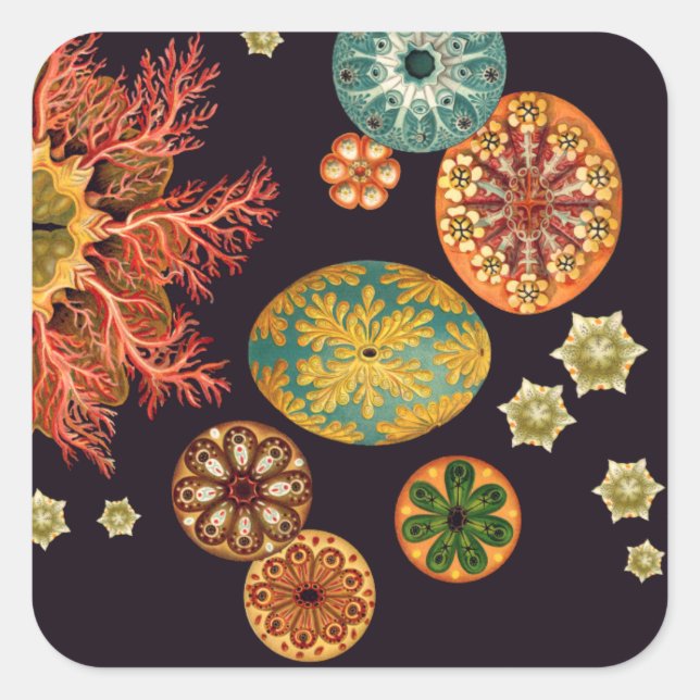 Pegatina Cuadrada Pegatinas de Sea Squirt Remix (Anverso)