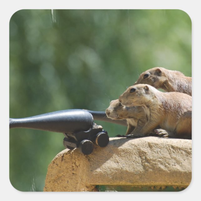 Pegatina Cuadrada Pegatinas de soldados de perro de Prairie (Anverso)