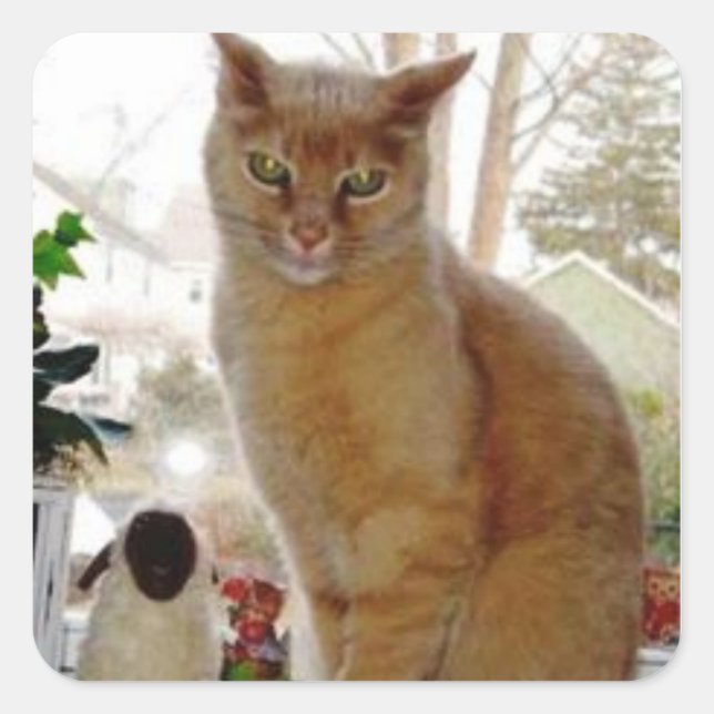 Pegatina Cuadrada Pegatinas de Sunny Papoochie (Anverso)