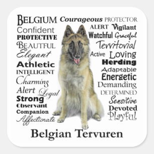 Pegatina Cuadrada Pegatinas de Tervuren de Bélgica