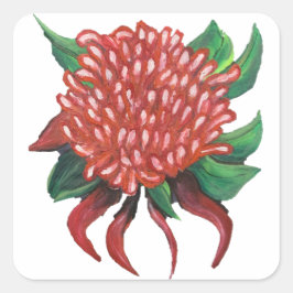 Pegatina Cuadrada Pegatinas de Waratah dibujados por la mano de las 