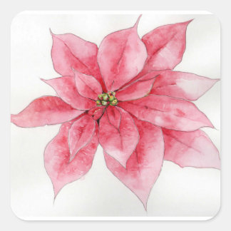 Pegatina Cuadrada Pegatinas de Watercolor Poinsettia