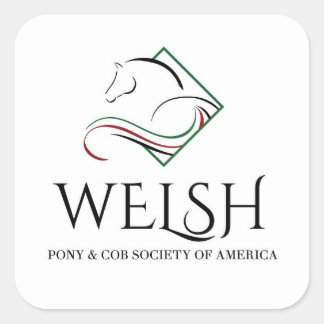 Pegatina Cuadrada Pegatinas de Welsh Pony y Cob