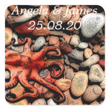 Pegatinas del Octopus