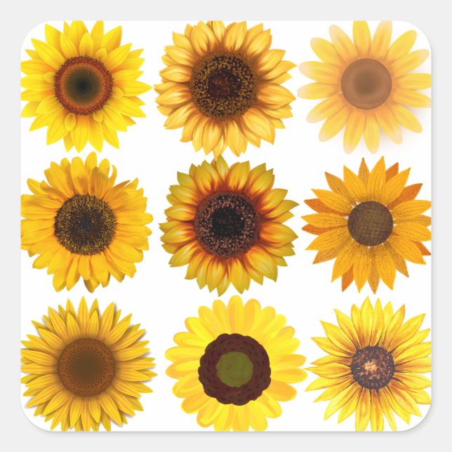 Pegatina Cuadrada Pegatinas del PERSONALIZABLE Sunflower Collage (Anverso)