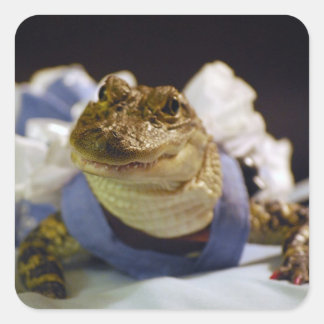 Pegatina Cuadrada Pegatinas divertidos