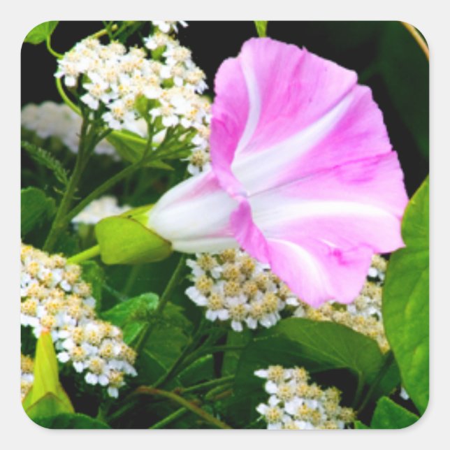 Pegatina Cuadrada Pegatinas florales Fiesta Garden (Anverso)