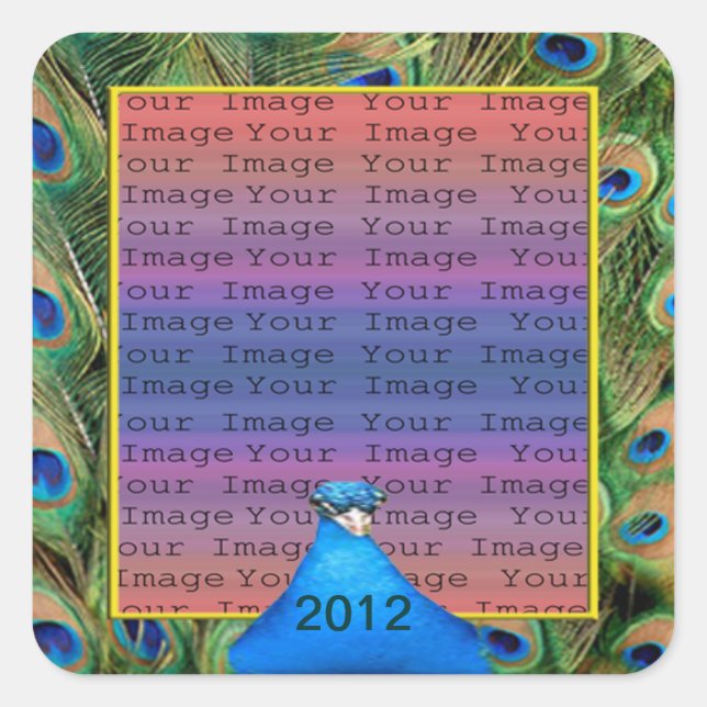 Pegatina Cuadrada Pegatinas fotográficos de Peacock Boda (Anverso)