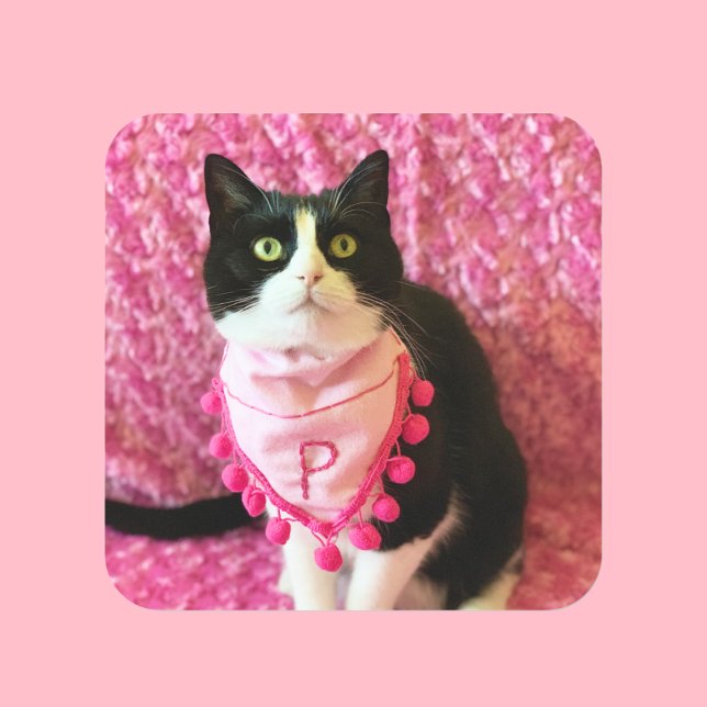 Pegatina Cuadrada Pegatinas gatos de Tuxedo se pelean con el bonito  (Subido por el creador)