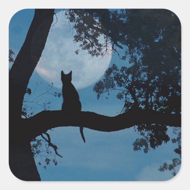 Pegatina Cuadrada Pegatinas gatos y lunares (Anverso)