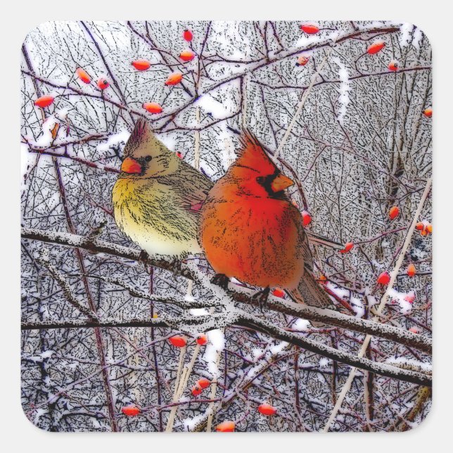 Pegatina Cuadrada Pegatinas navideñas cardinales (Anverso)