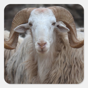 Pegatina Cuadrada Pegatinas Ram
