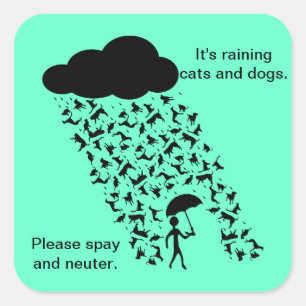 Pegatina Cuadrada pegatinas "Spay and Neuter"
